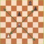 Règles jeu d'échecs : déplacement du Fou