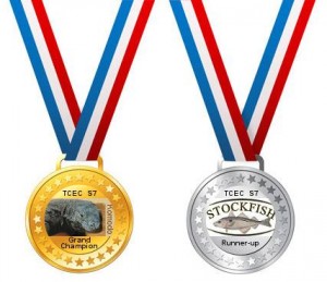 Komodo est le nouveau Grand Champion TCEC