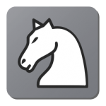 Puzzle échecs application android icone
